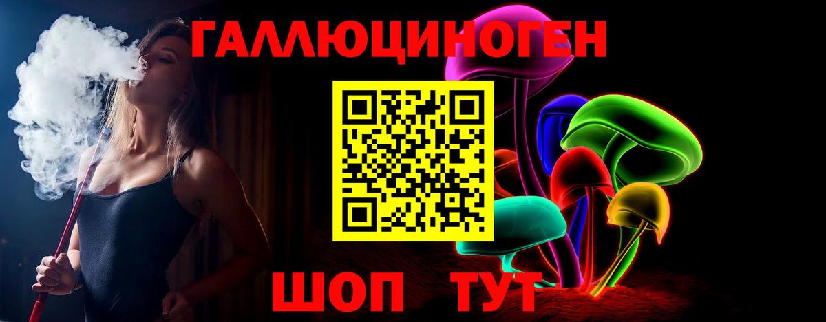 Псилоцибиновые грибы Psilocybe Жуковский